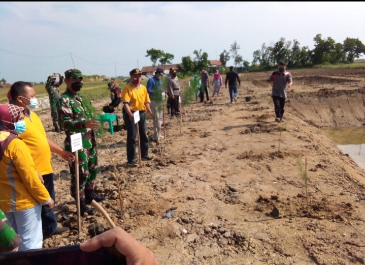 PENANAMAN POHON CEMARA DI MOJOWARNO KALIORI