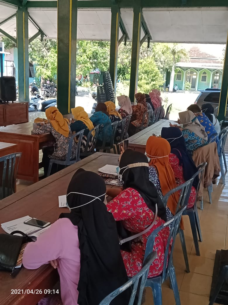 BIMBINGAN TEKNIS RELAWAN SDGs DESA 2021